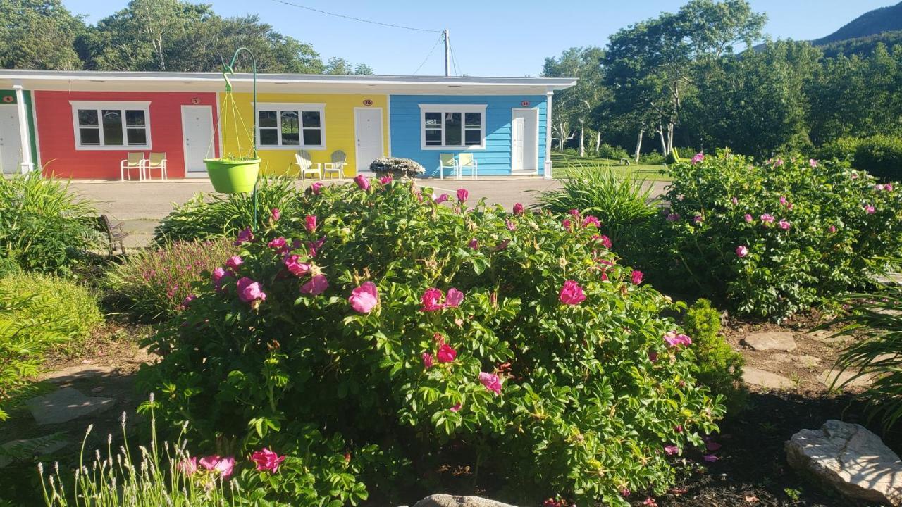 Cornerstone Motel Chéticamp Exterior foto